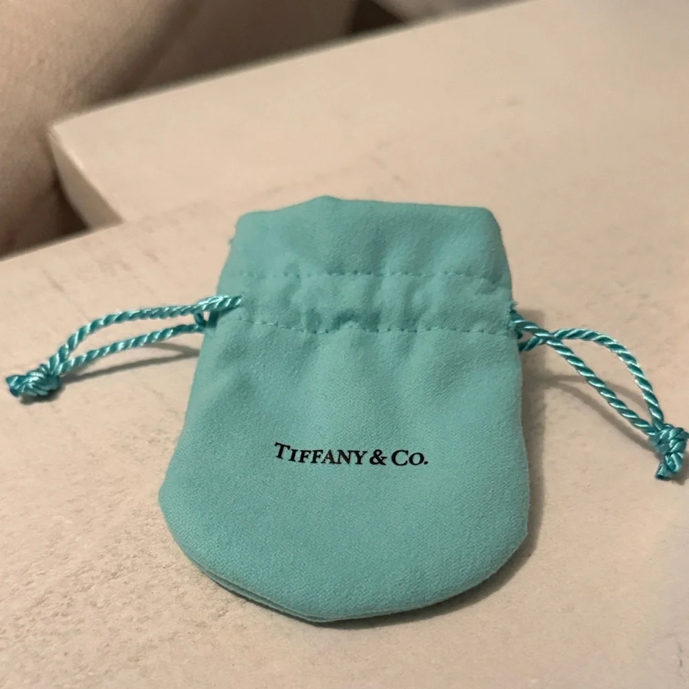 Tiffany & Co. Turquoise Jewelry Pouch - Picture 2 of 4